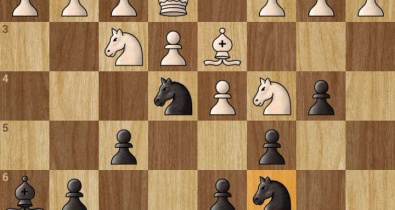 Заставка для - Шахматы как способ взаимодейтсвия