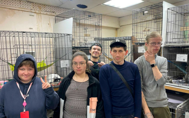 Заставка для - От теории к практике: «Лучшие друзья» побывали в кошачьем приюте